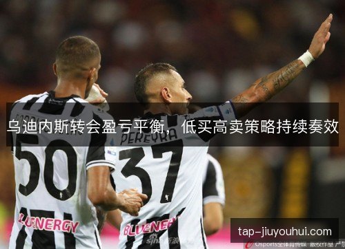 乌迪内斯转会盈亏平衡，低买高卖策略持续奏效